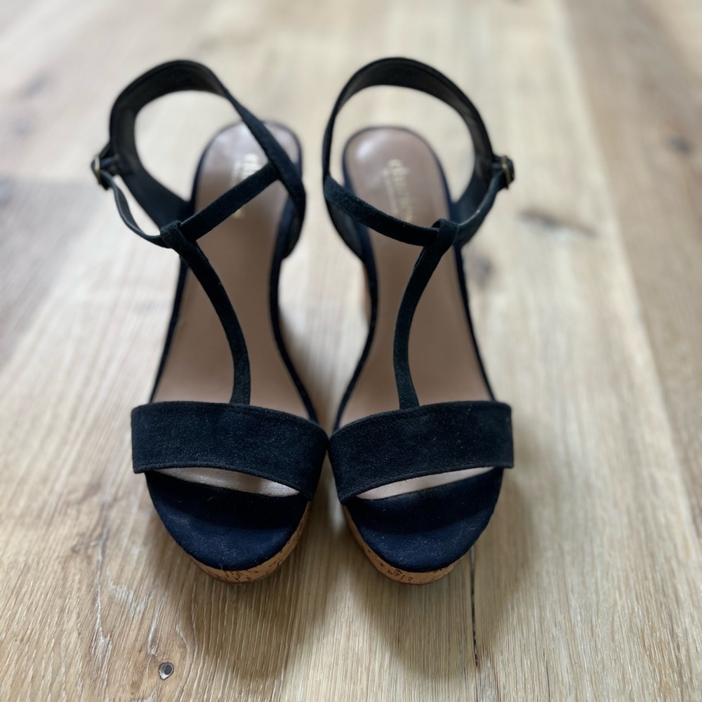 Charles by Charles David navy blue wedge sandals